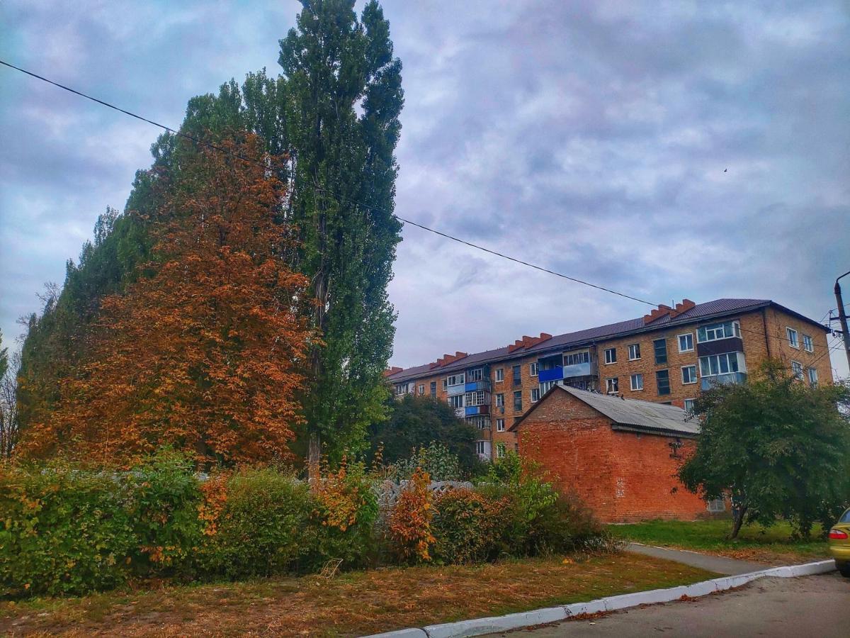 2Х Кімнатна Квартира На Вулиці Лесі Українки Uzyn エクステリア 写真